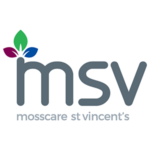 msv-logo 1